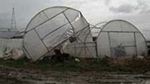 NY grower lost close to 7000 sq ft of tunnels due to high winds