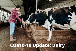 COVID-19 Dairy Updates